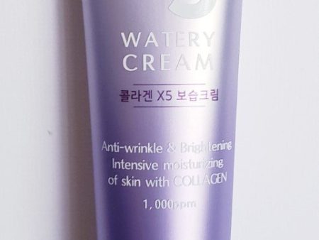 Skinpastel Premium Collagen X5 Watery Cream For Cheap